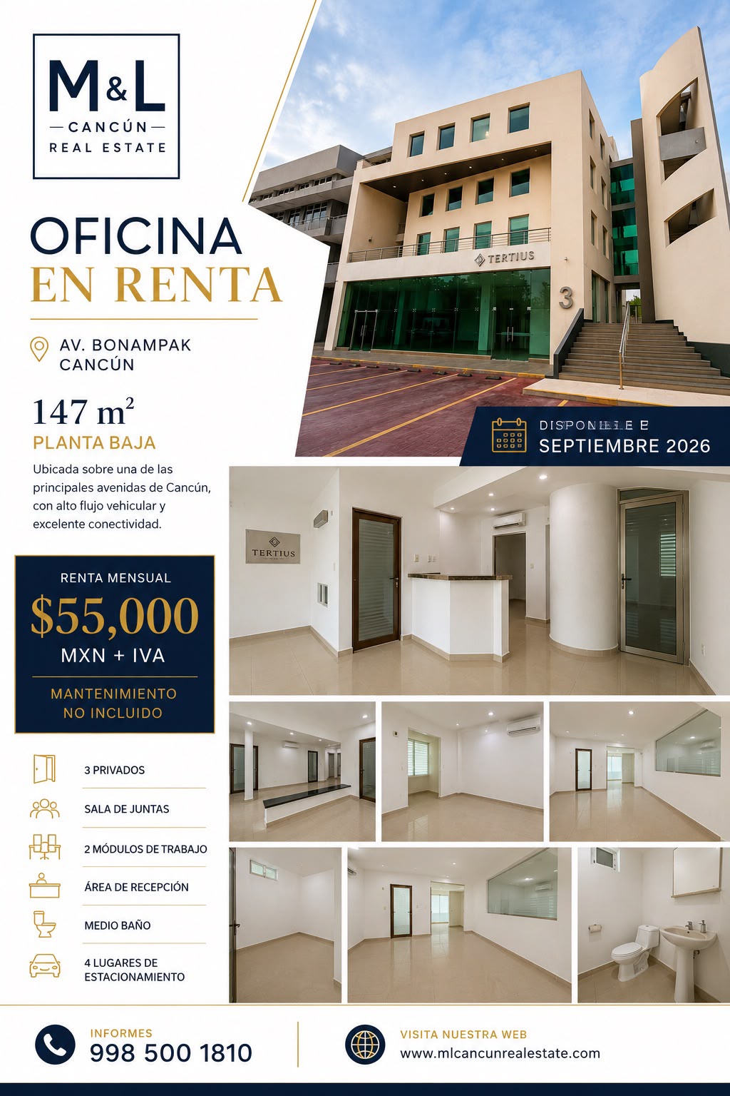 Oficina en renta en Bonampak 3 foto 1