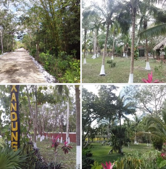 Terreno en venta en A pie de carretera, a 15 minutos de Cancún foto 1
