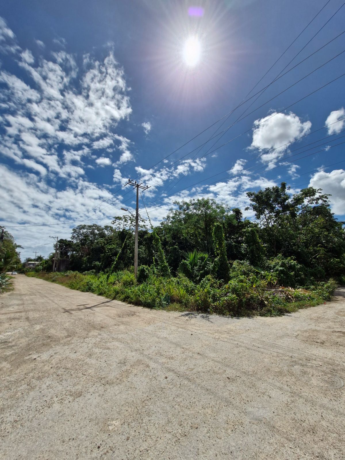 Lote en venta en Avenida Rogelio Castorena foto 1
