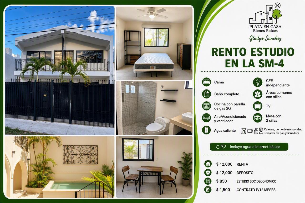 Estudio en renta en SM-4 foto 1
