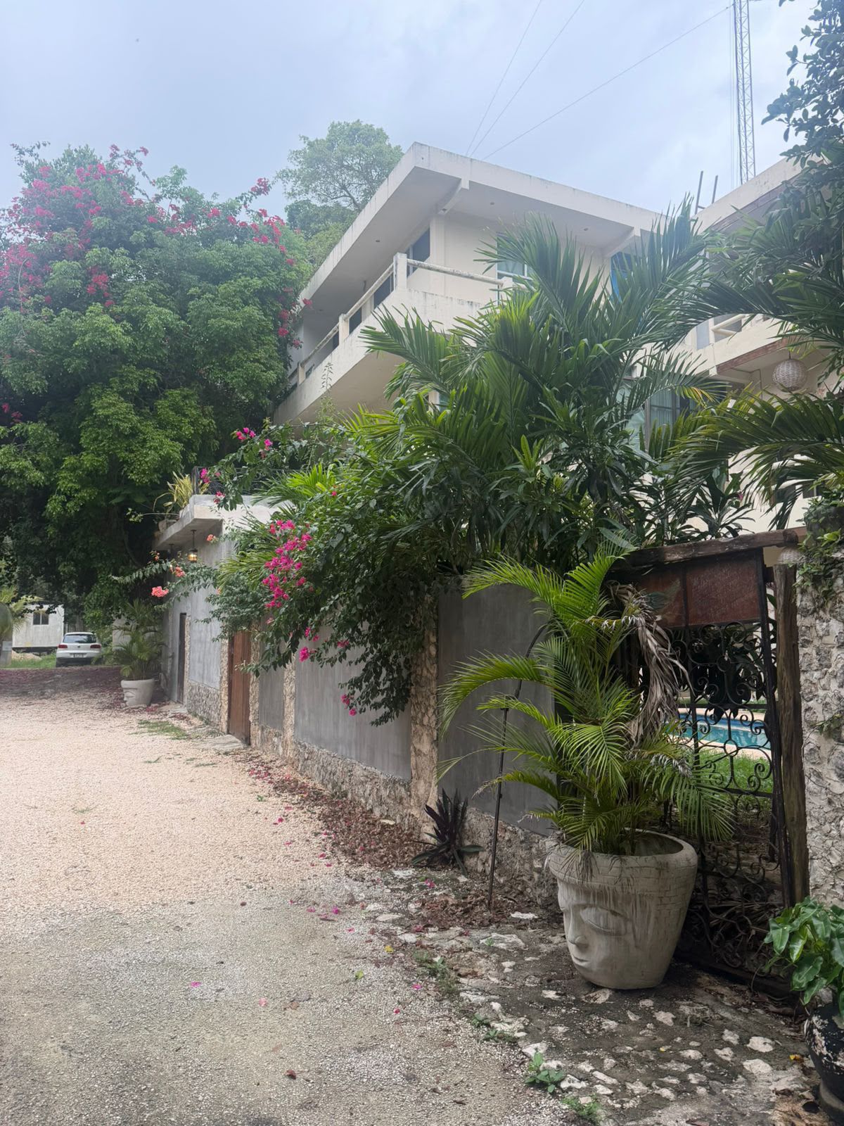 Departamento en renta en Selva Latina, Coba KM 4 foto 1