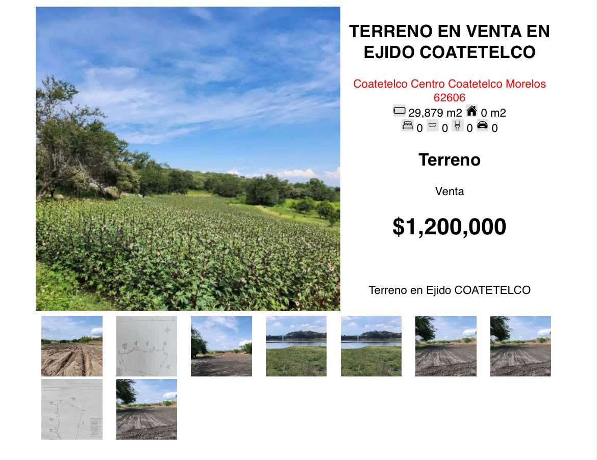 Terreno en venta en Coatetelco Centro foto 1