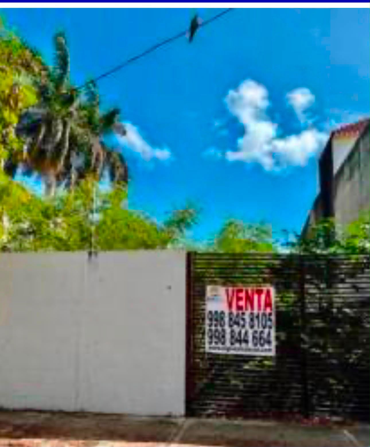 Terreno en venta en SM 19 AV Contoy foto 1