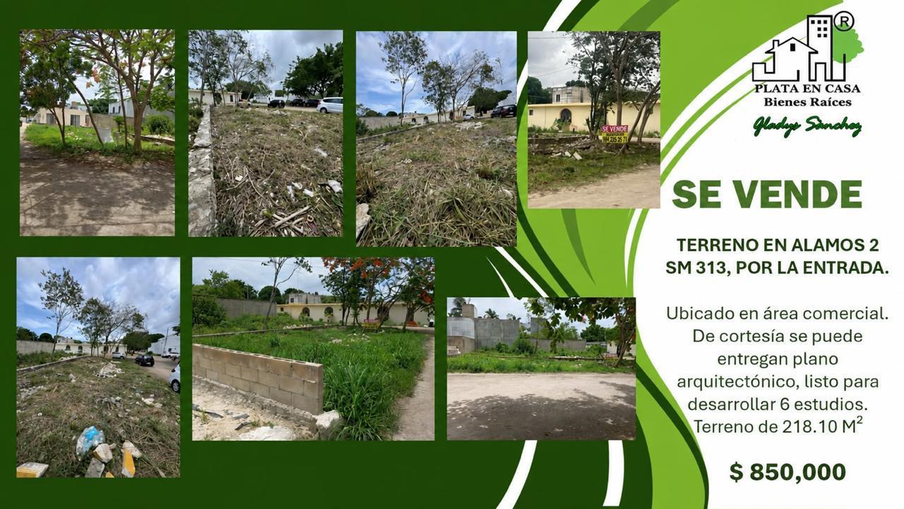Terreno en venta en Álamos 2 SM 313 foto 1