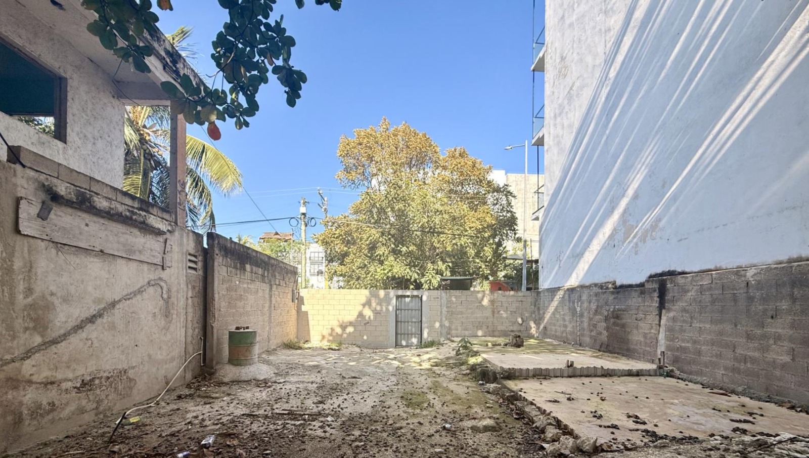 Terreno en renta en Calle 50 Norte Esquina 5ta foto 1