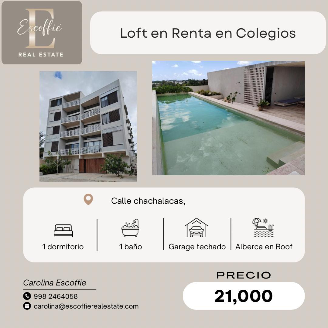 Loft en renta en Colegios foto 1