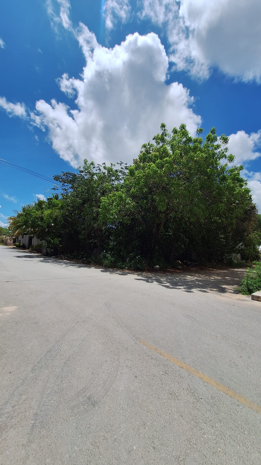 Terreno en venta en Alamos, Calle Ciricote y Pino foto 1