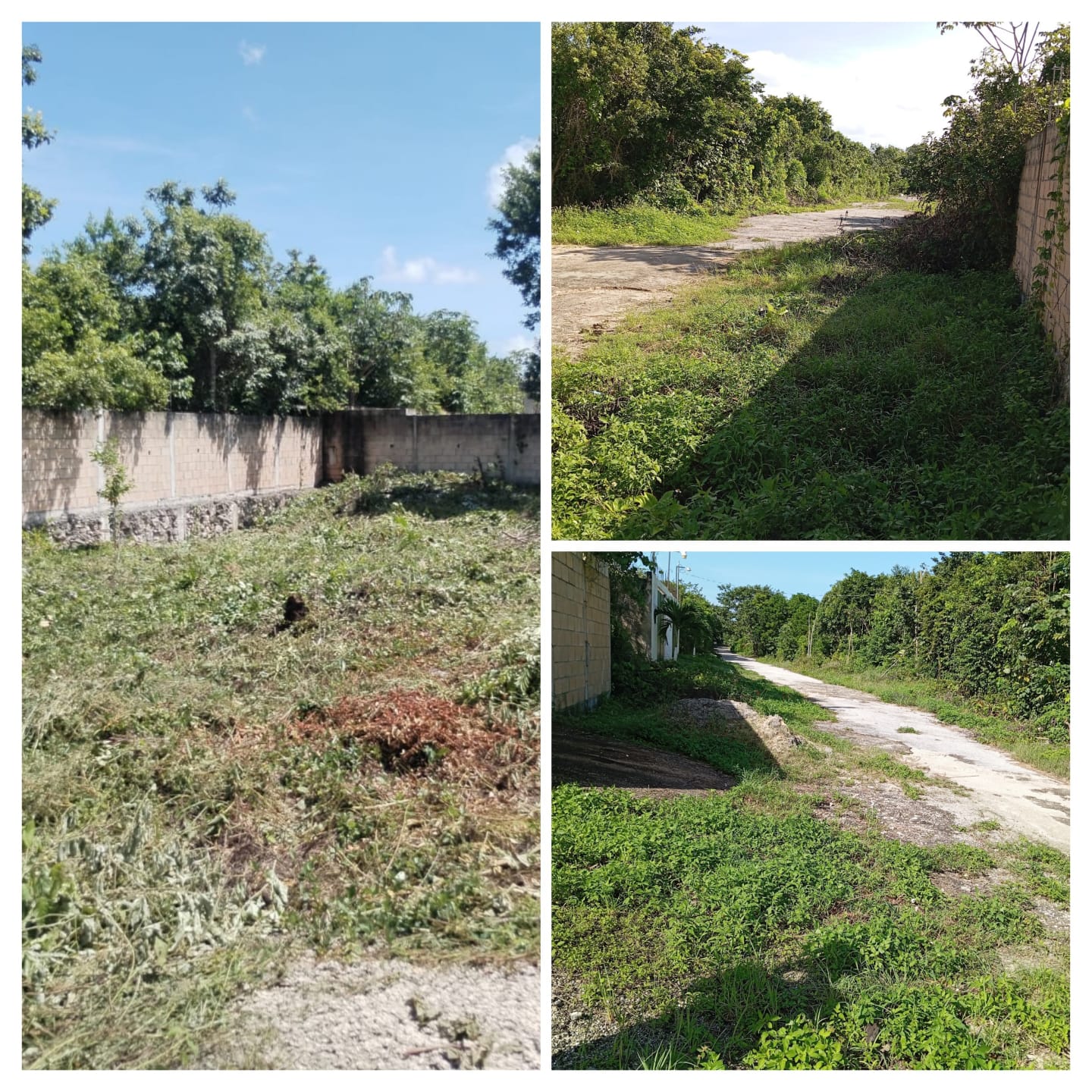Terreno en venta en Entre Av. Las Torres y Av. Guayacán foto 1