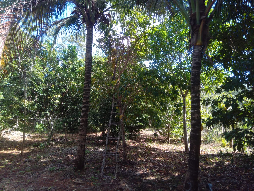 Rancho en venta en Leona Vicario foto 1