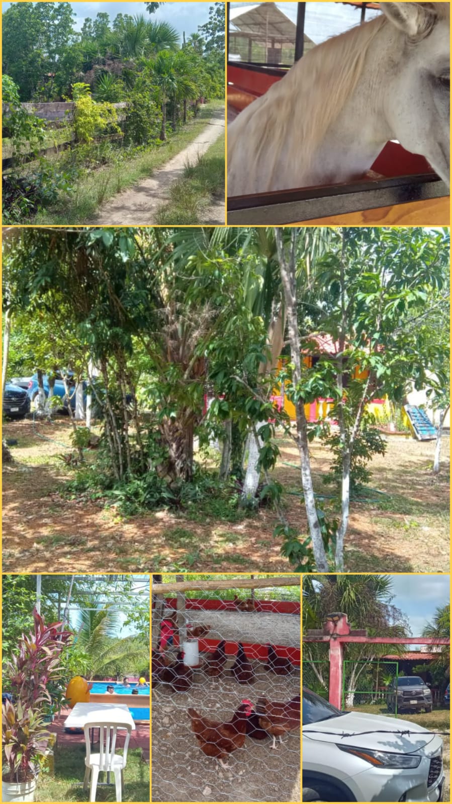 Terreno con casa en venta en A orilla de carretera foto 1