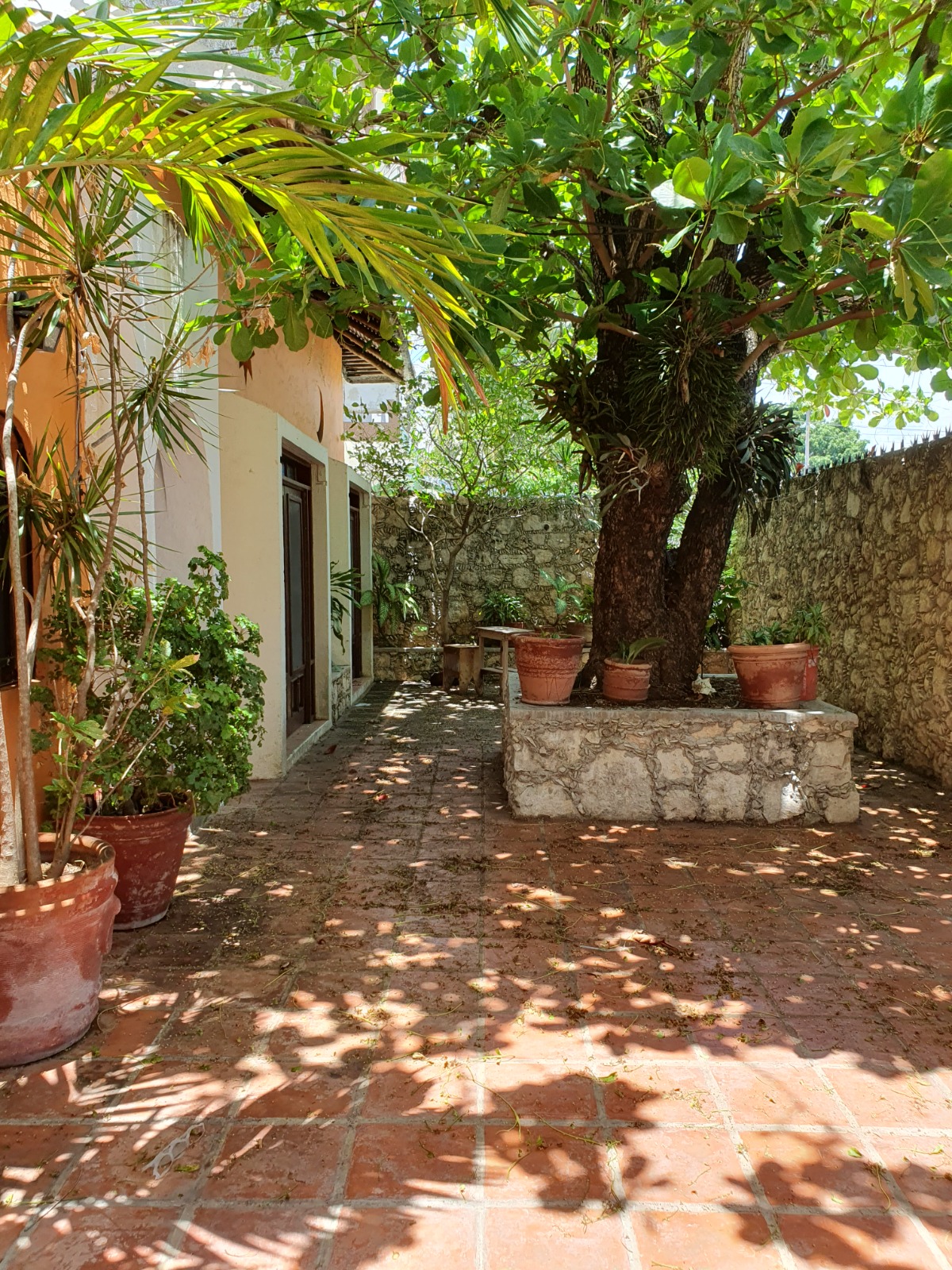 Propiedad en venta en SM 31 foto 1