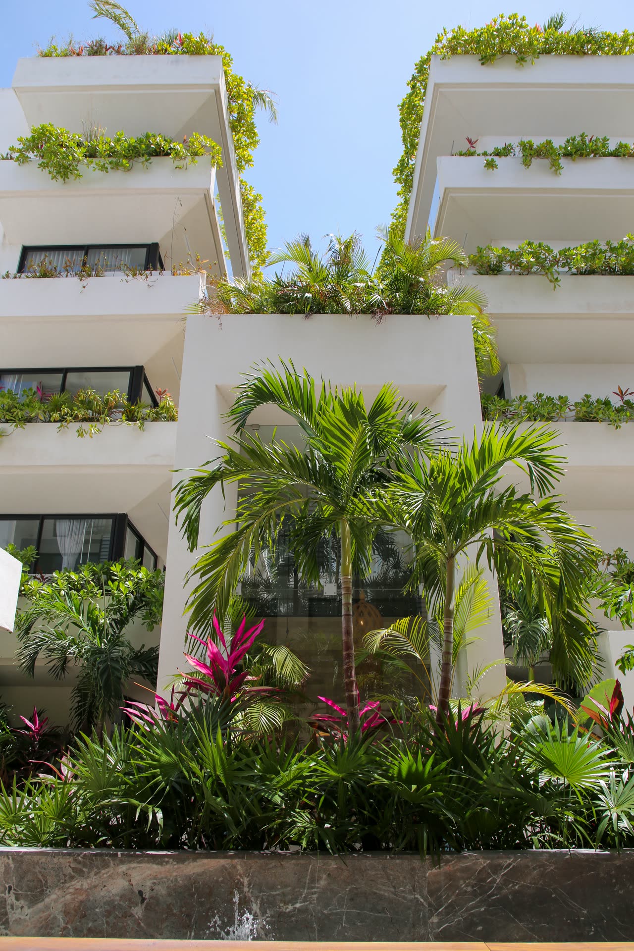 Sensai Downtown — instalaciones y espacios, foto 5