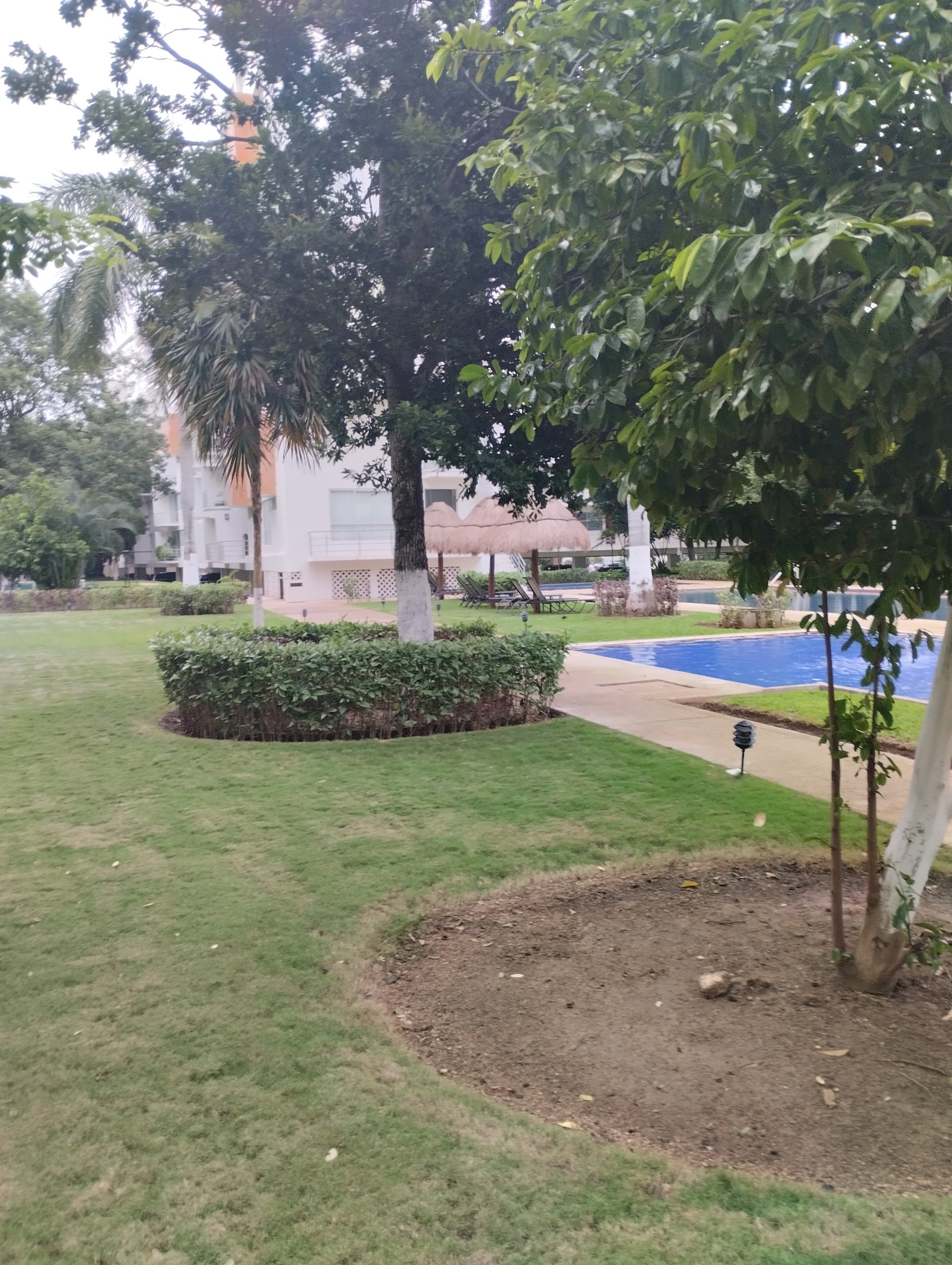 Departamento Amueblado en Tziara Cancun SM 16, Seguridad, Alberca 15