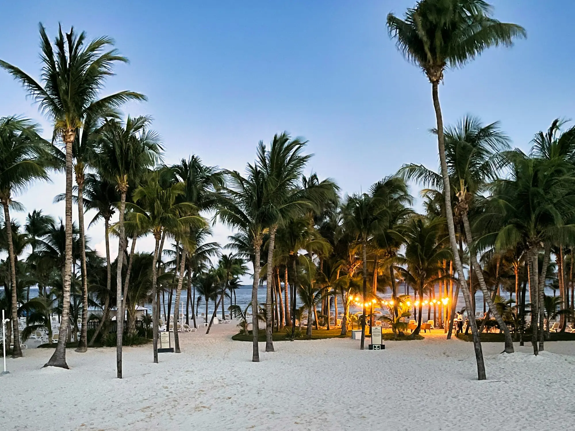 Terreno en venta, en Playa del Carmen, Quintana Roo — Terrenos en Venta Playa del Carmen | 4 Lotes de 200 m² en Vida y Esperanza
