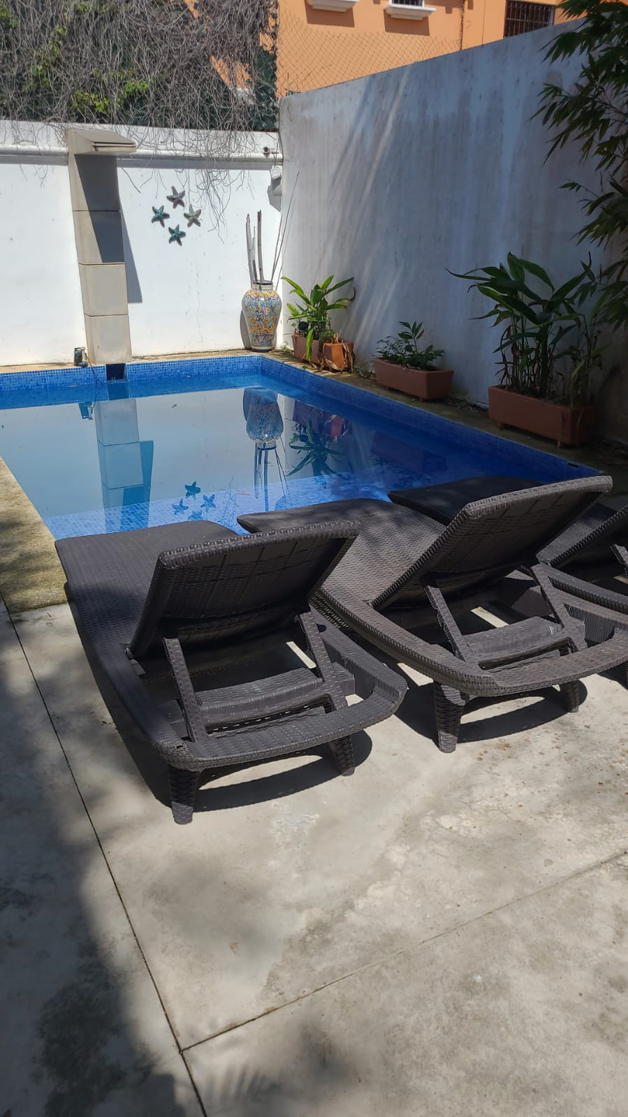 Casa en venta, en Cancún, Quintana Roo, 5 recámaras, 4 baños — Casa en Venta en Colegios, Cancún | 5 Recámaras con Alberca (foto 4)