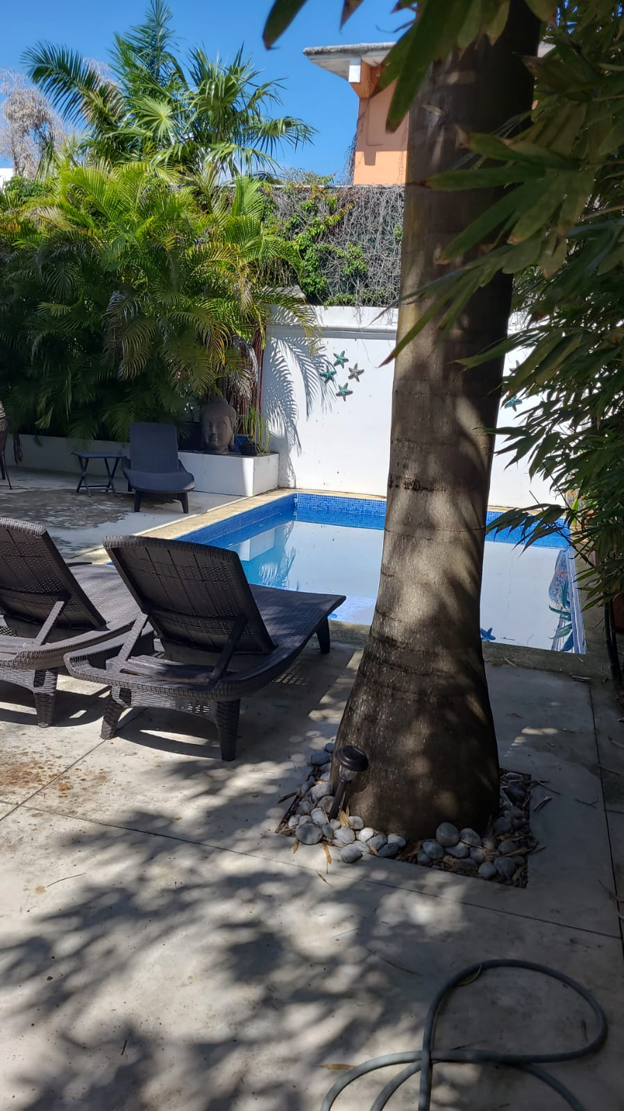Casa en venta, en Cancún, Quintana Roo, 5 recámaras, 4 baños — Casa en Venta en Colegios, Cancún | 5 Recámaras con Alberca (foto 3)