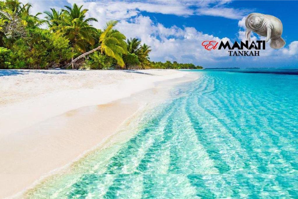 Terreno en venta, en Tulum, Quintana Roo — Terreno Frente al Mar en Venta en Tankah, Tulum | 327 Hectáreas con Potencial Ho (foto 4)