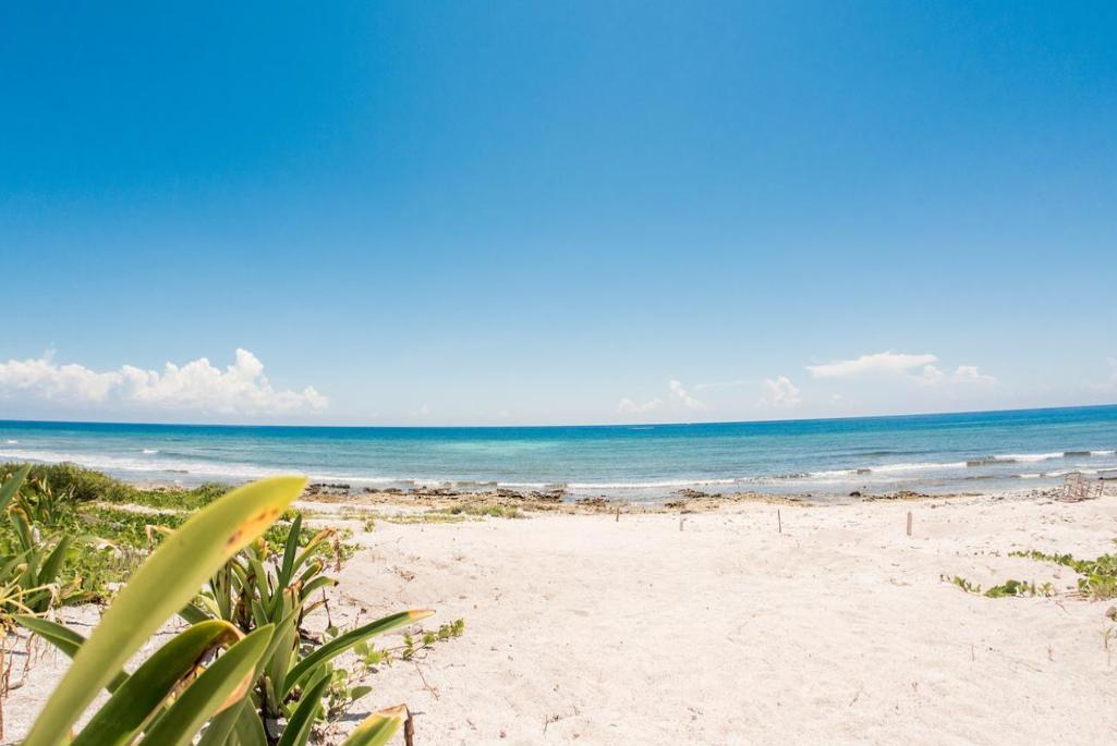 Terreno en venta, en Tulum, Quintana Roo — Terreno Frente al Mar en Venta en Tankah, Tulum | 327 Hectáreas con Potencial Ho (foto 3)