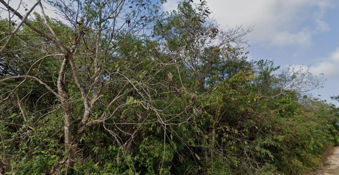 Terreno en venta, en Cancún, Quintana Roo — Terreno en Venta en Colonia Doctores Cancún | 1,000 m² | Av. Chacmool