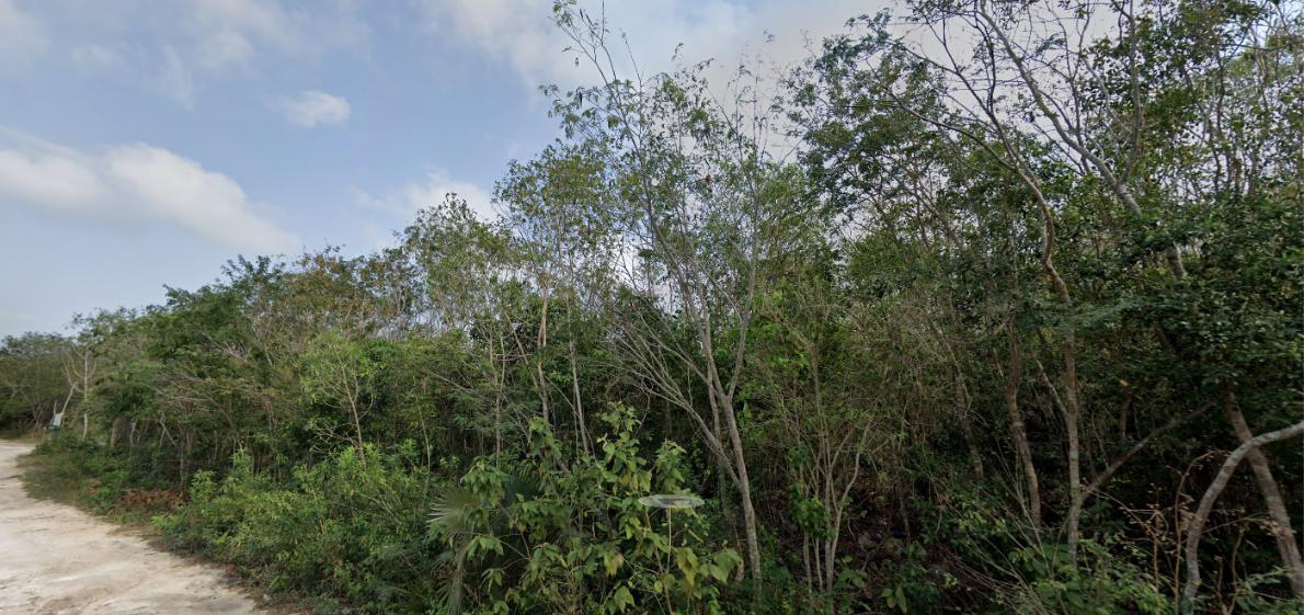 Terreno en venta, en Cancún, Quintana Roo — Terreno en Venta en Colonia Doctores Cancún | 1,000 m² | Av. Chacmool (foto 2)