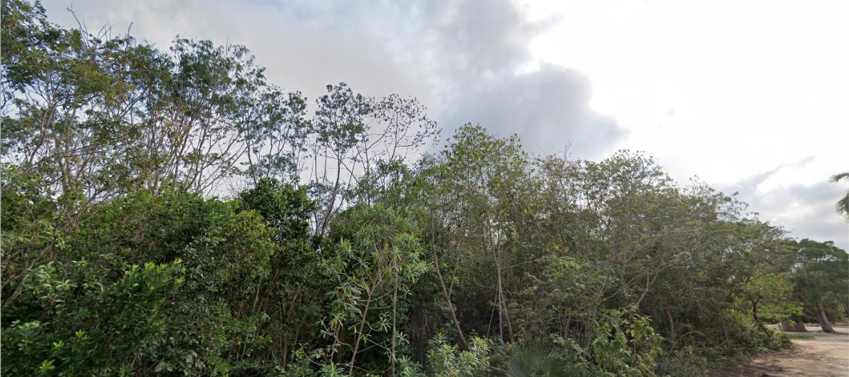 Terreno en venta, en Cancún, Quintana Roo — Terreno en Venta en Colonia Doctores Cancún | 1,000 m² | Av. Chacmool (foto 4)