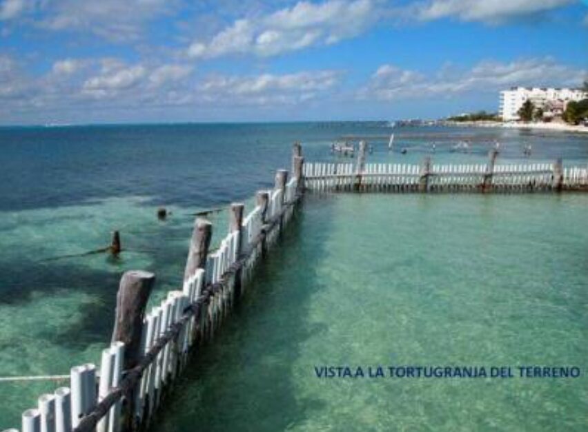 Terreno en venta, en Isla Mujeres, Quintana Roo — Terreno Hotelero Isla Mujeres (foto 2)
