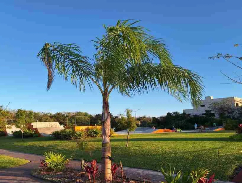 Terreno en venta, en Cancún, Quintana Roo — Terrenos en Venta en Vía Cumbres (foto 3)