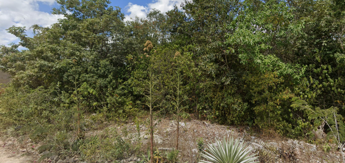 Terreno en venta, en Cancún, Quintana Roo — Terreno en Venta en Álamos II, Cancún | 972 m² con Uso de Suelo Mixto