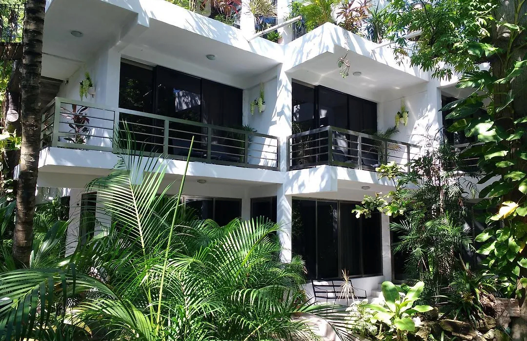 Comercial en venta, en Playa del Carmen, Quintana Roo — Hotel en Venta en 5ta Avenida, Playa del Carmen | 1,100 m² Construidos, Potencia (foto 2)
