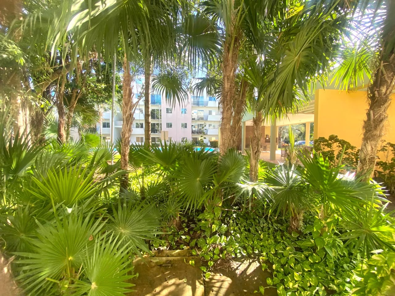 Departamento en renta, en Cancun, Quintana Roo, 2 recámaras, 1 baños — Departamento en Renta en J, Cancun (foto 4)