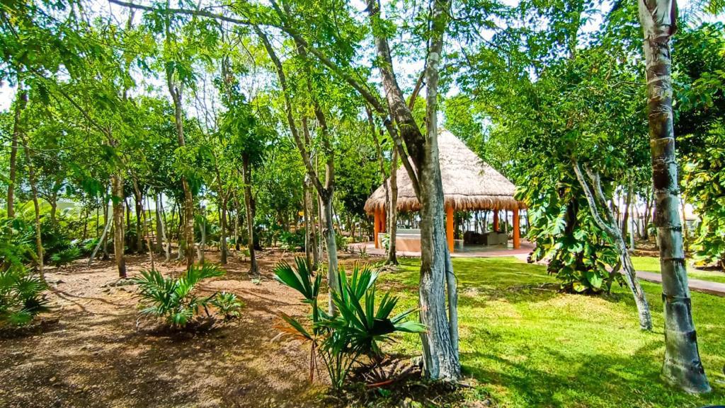 Casa en renta, en Solidaridad , Quintana Roo, 3 recámaras, 2 baños — Casa en Renta en L, Solidaridad  (foto 4)