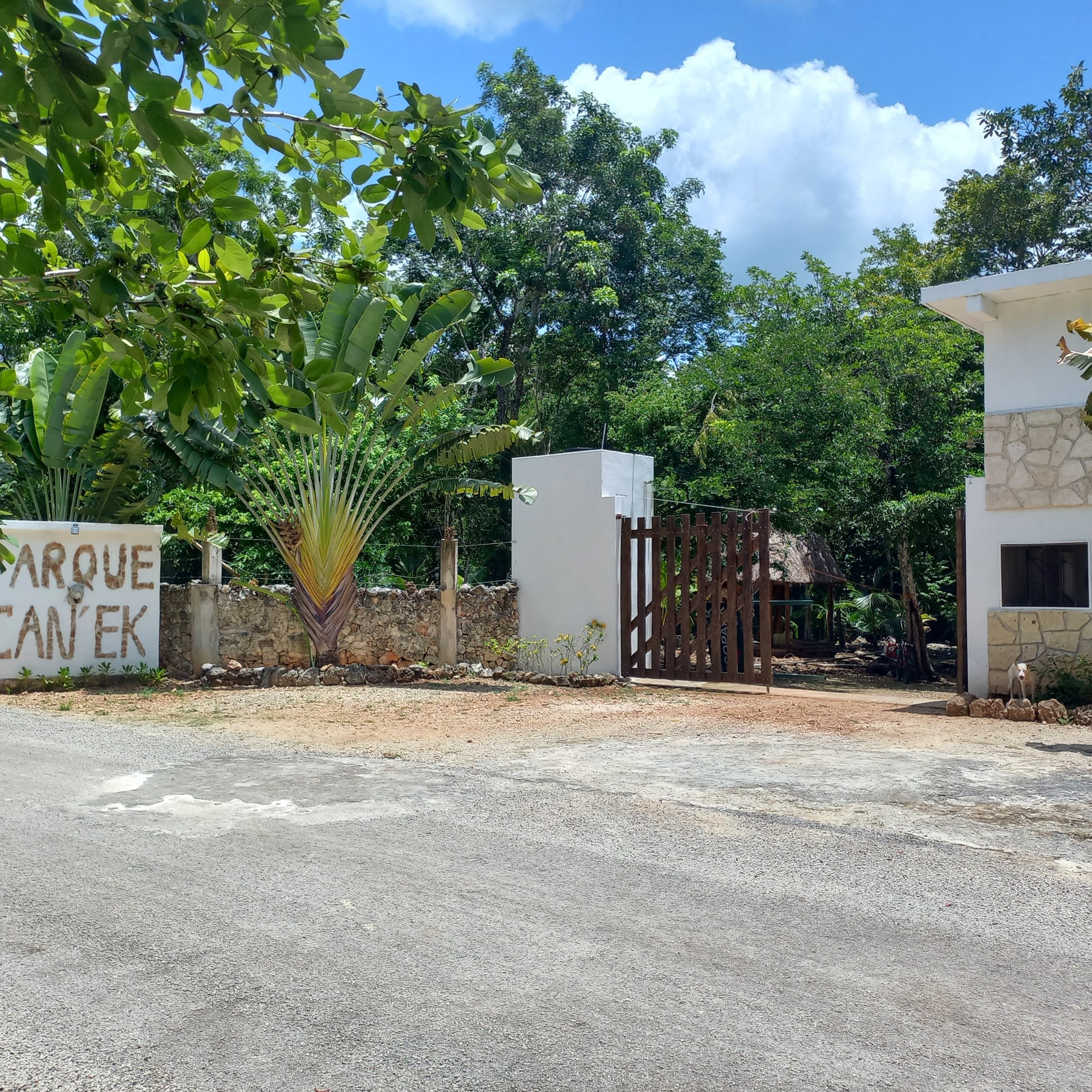 Casa en venta, en Leona vicario, Quintana Roo — Finca en Venta en L, Leona vicario (foto 3)