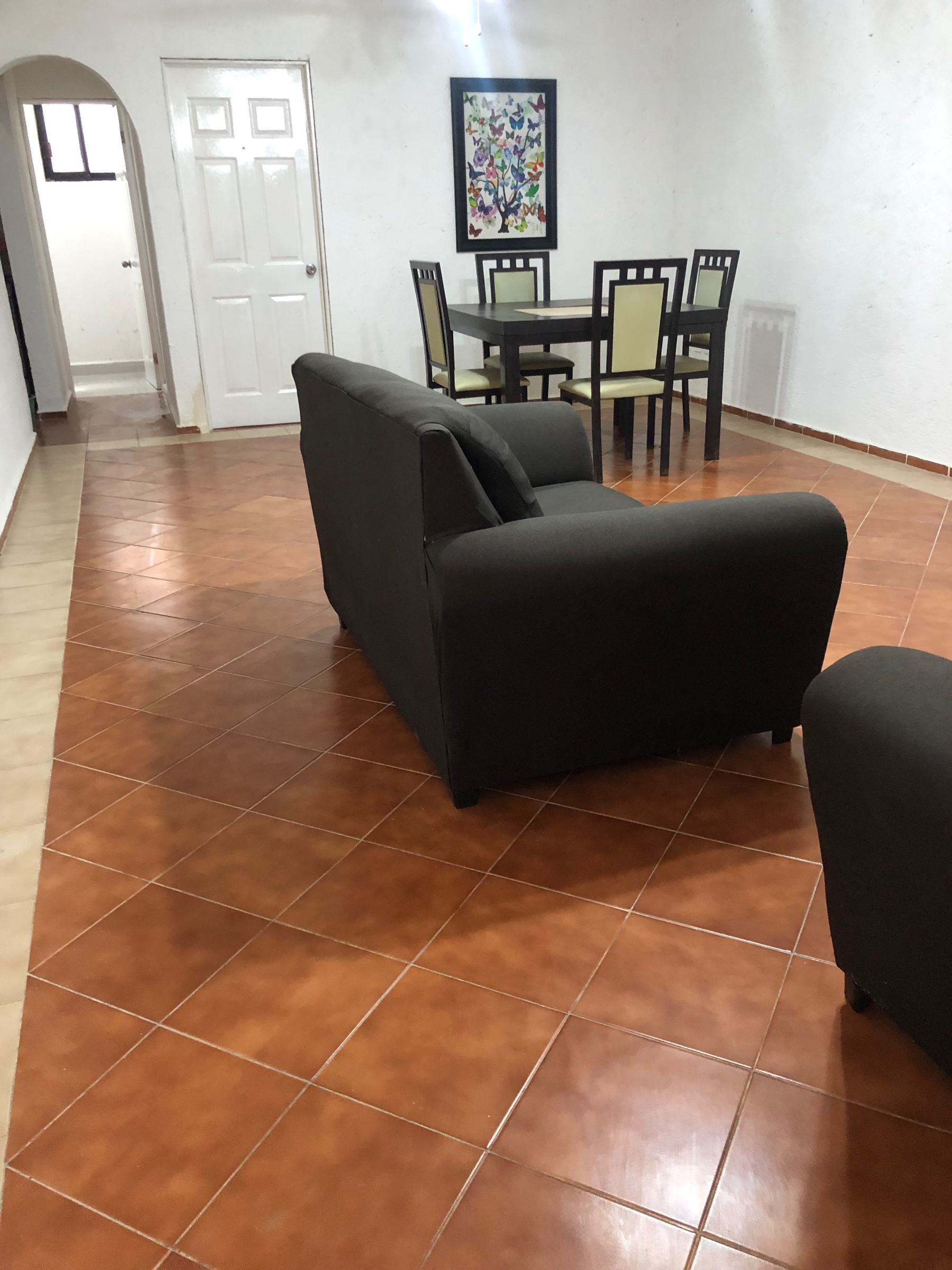 Departamento en Renta en A, Cancún 5