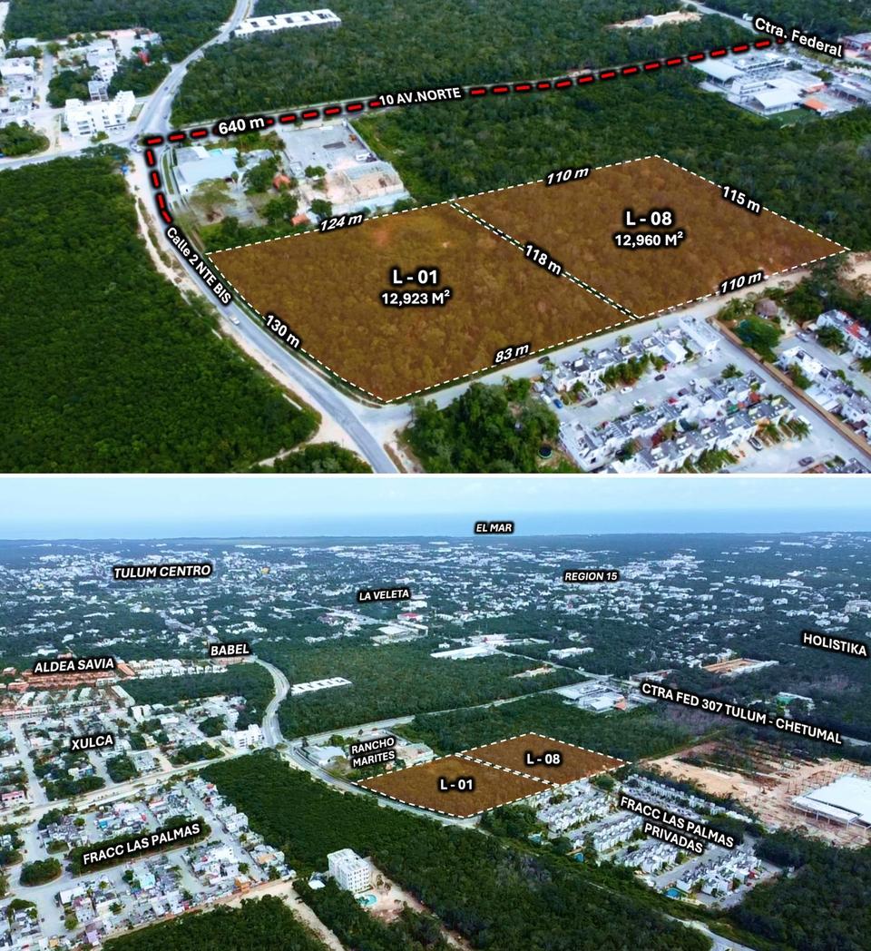 Terreno de 12,923 m2 en venta ubicado en la Manzana 877, a un costado del centro comercial de Tulum. Precio de 300 USD por m2.