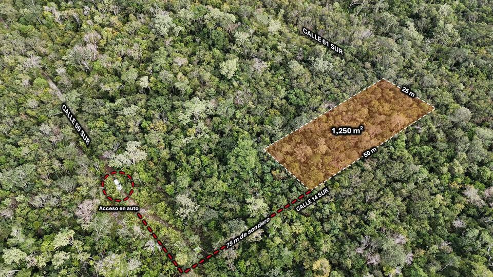 Terreno en esquina de 1,250 m² en Región 08, Tulum. Ubicado a 1.7 km de Av. Kukulkán y cerca del mar. Cuenta con escritura pública y uso de suelo PE/RS.