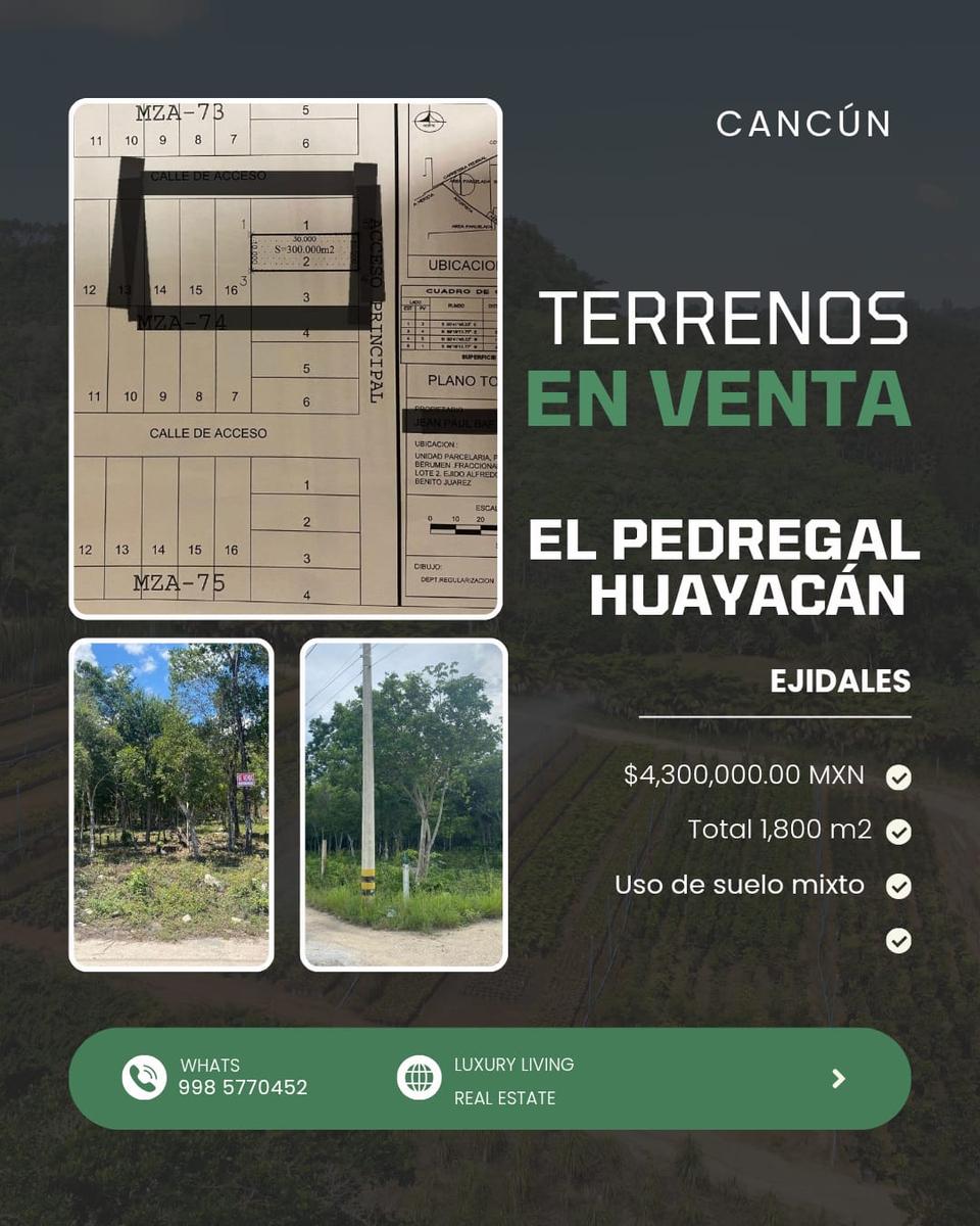 Terreno de uso mixto de 1,800 m2 (30x60m) en El Pedregal con acceso por Av. Huayacán. Predio ejidal con cesión de derechos y precio negociable.